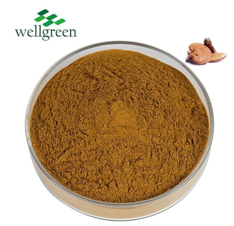 Premium Reishi Extract 10% Polysaccharides for Energy Drinks &amp; Post-Workout Recovery