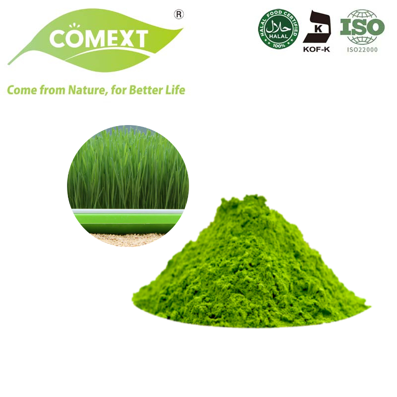 Comext Immune Plant Based Barley Grass Powder Organic Green Superfood Powder
