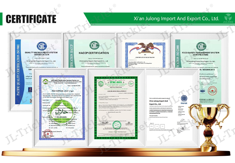 Quality Assurance 2