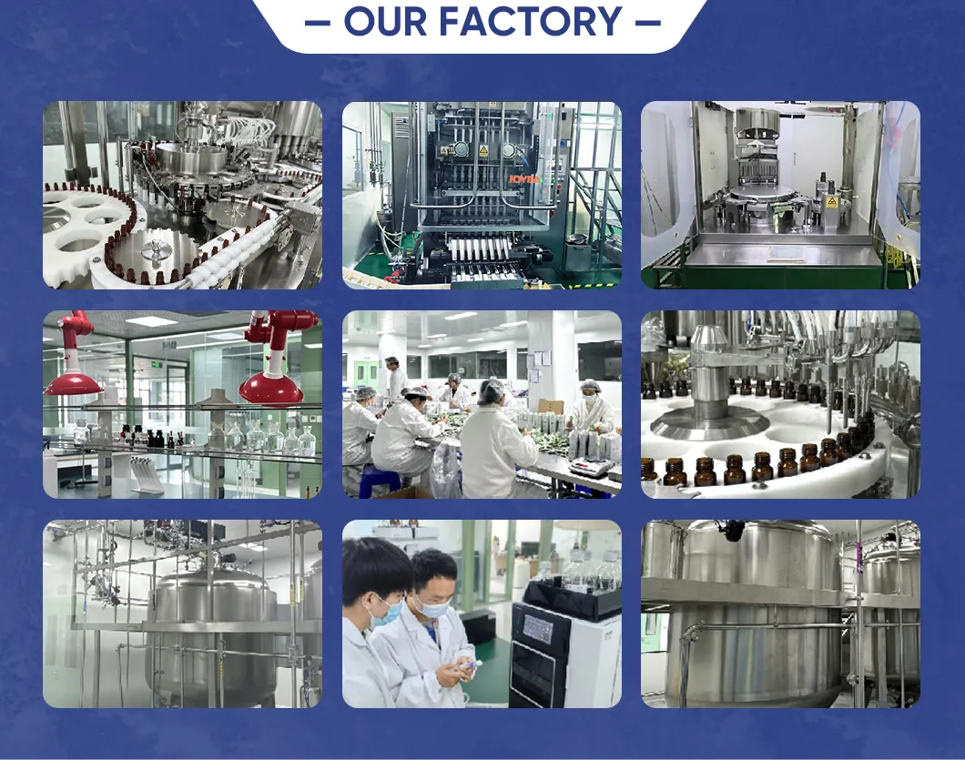 Production Facility