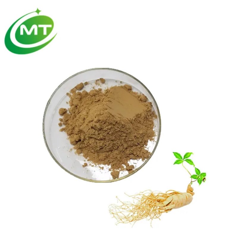 Factory Supply Pure Ginseng Extract Powder Food Grade 80% Ginsenosides Panax Ginseng Extract