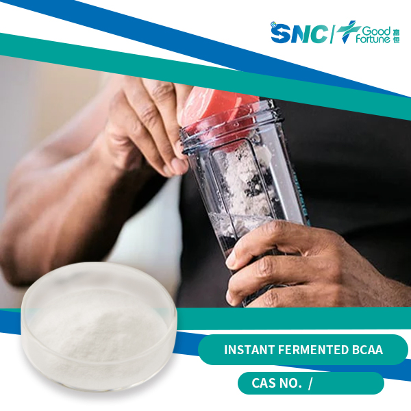 Premium High Purity Food-Grade Bcaa Powder for Instant Muscle Recovery