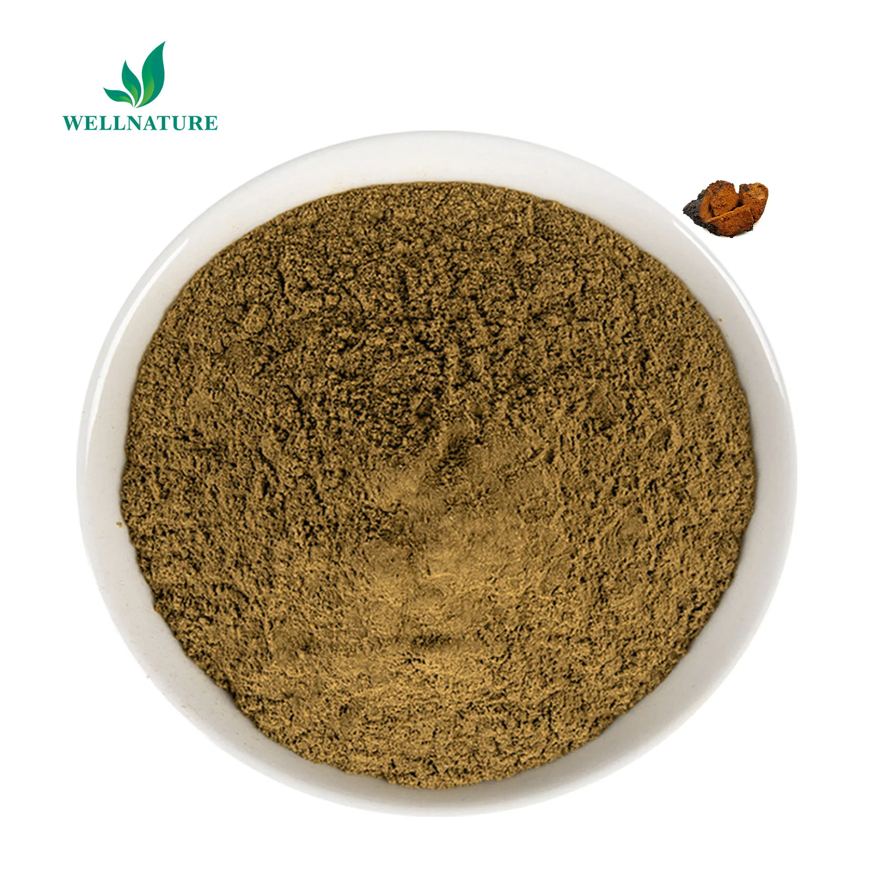 Organic Chaga Mushroom Extract Powder for Immune System Support and Natural Energy (Adaptogen)