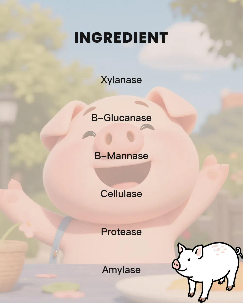 Feed Grade Swine Complex Enzyme Enhance Growth Performance and Gut Health