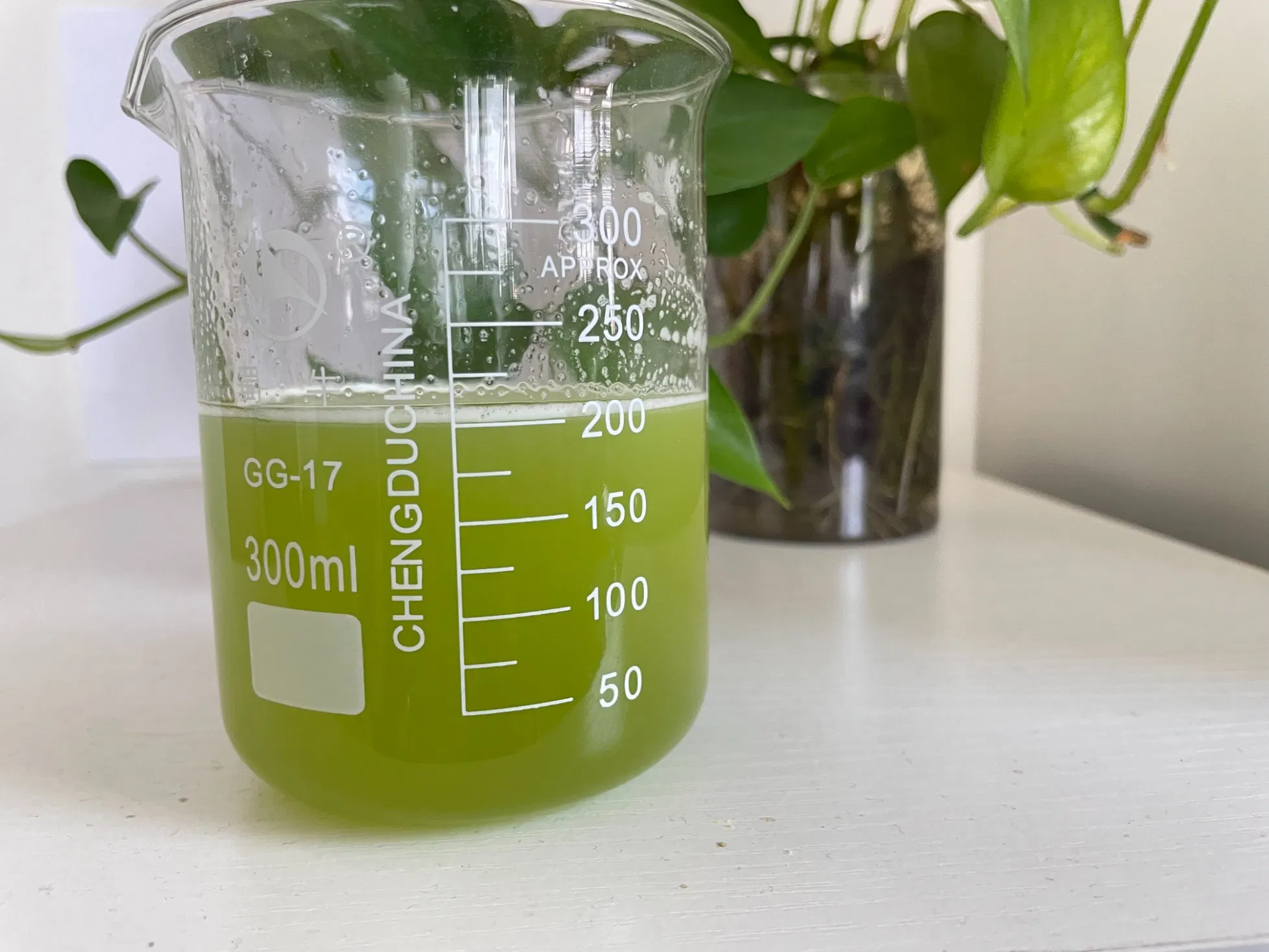 Natural Kale Powder for Superfood Smoothies and Green Juices