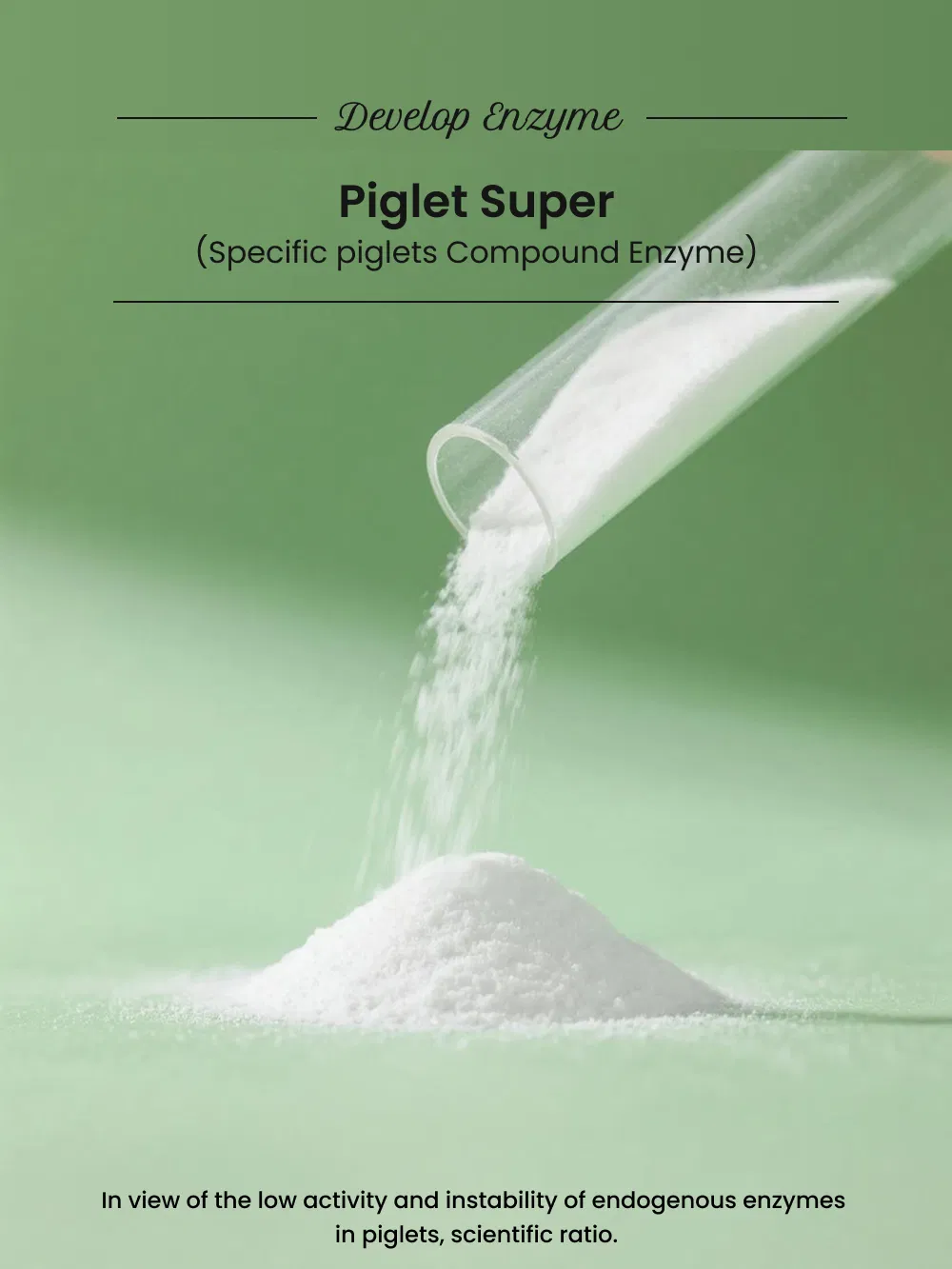 Price Piglet Compound Enzyme Promote Gut Health and Weight Gain