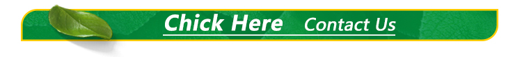 Multivitamin Gummies Banner