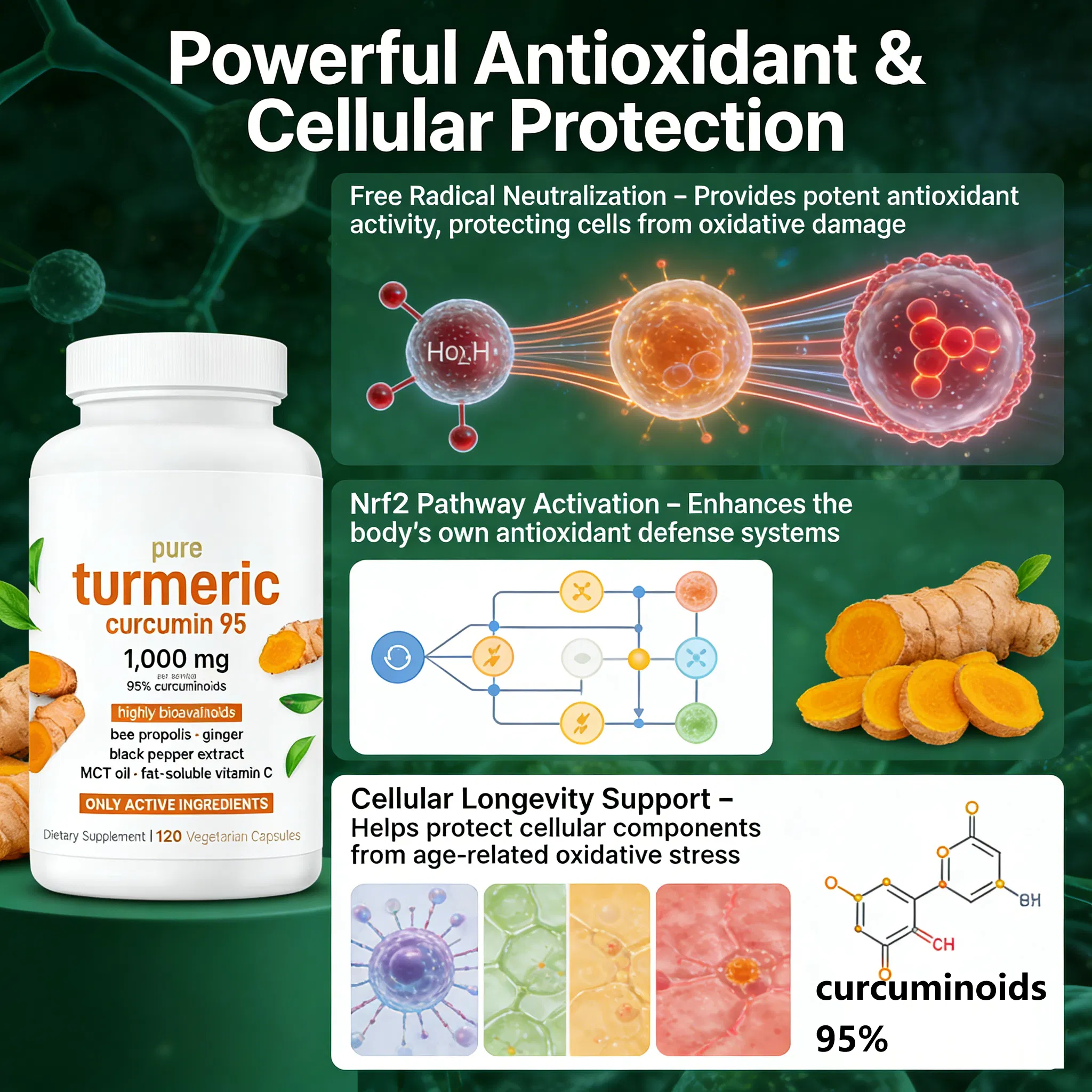 Curcumin Health Product OEM Supplement for Joint Support