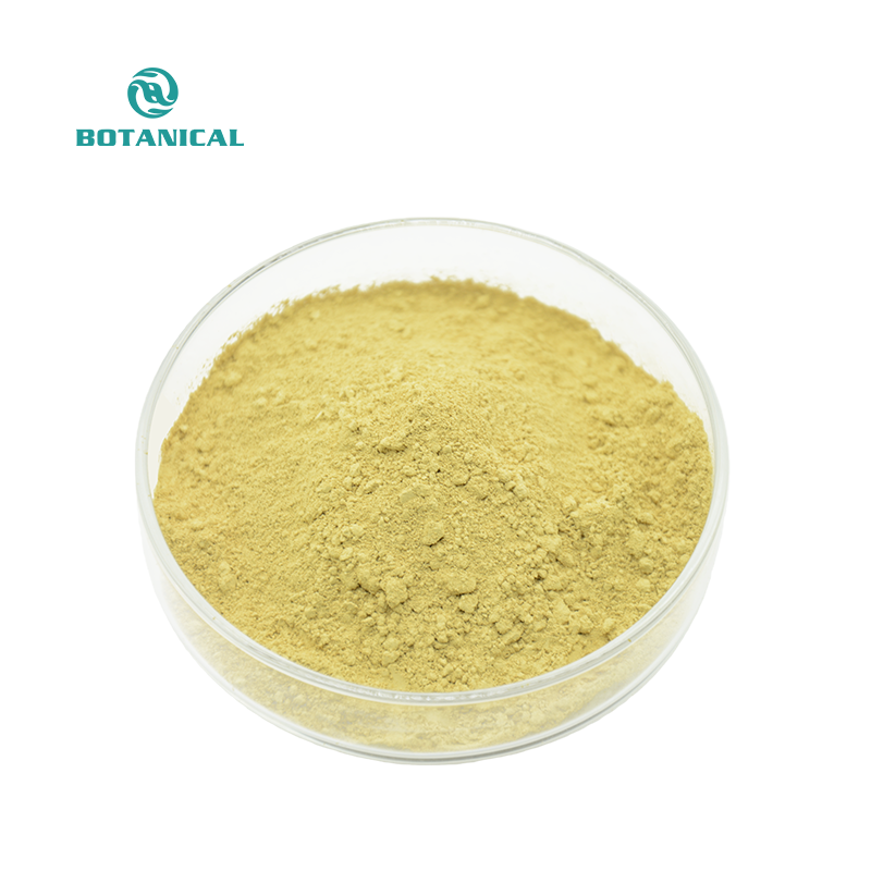 Fisetin Powder Display