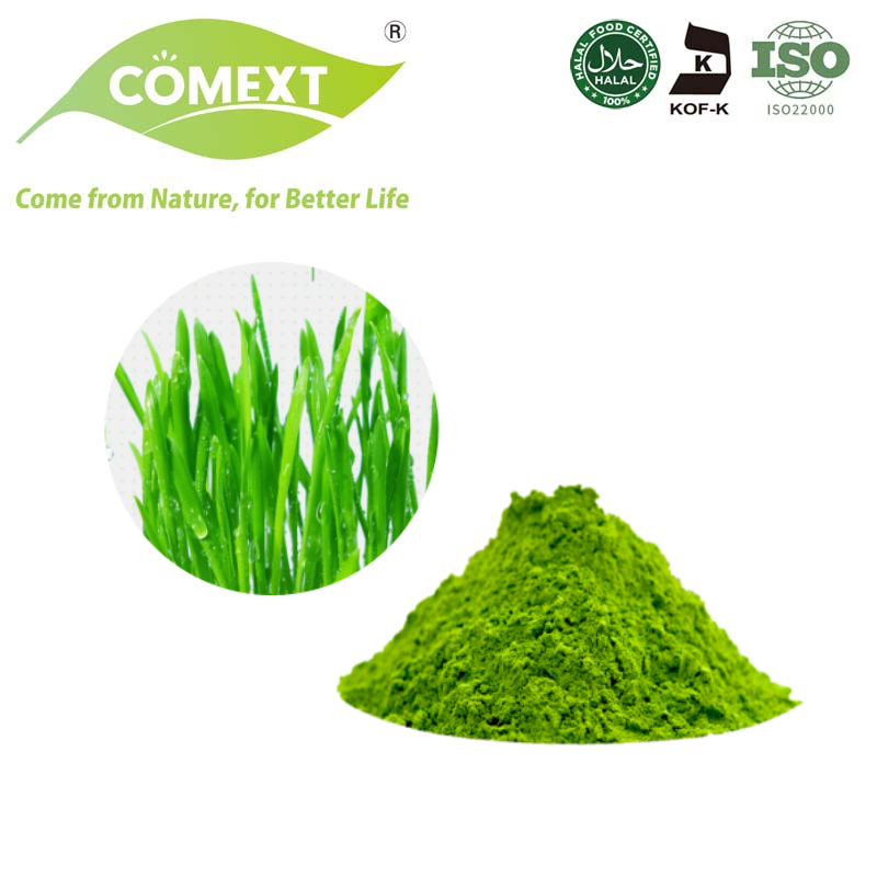 Comext Immune Plant Based Barley Grass Powder Organic Green Superfood Powder