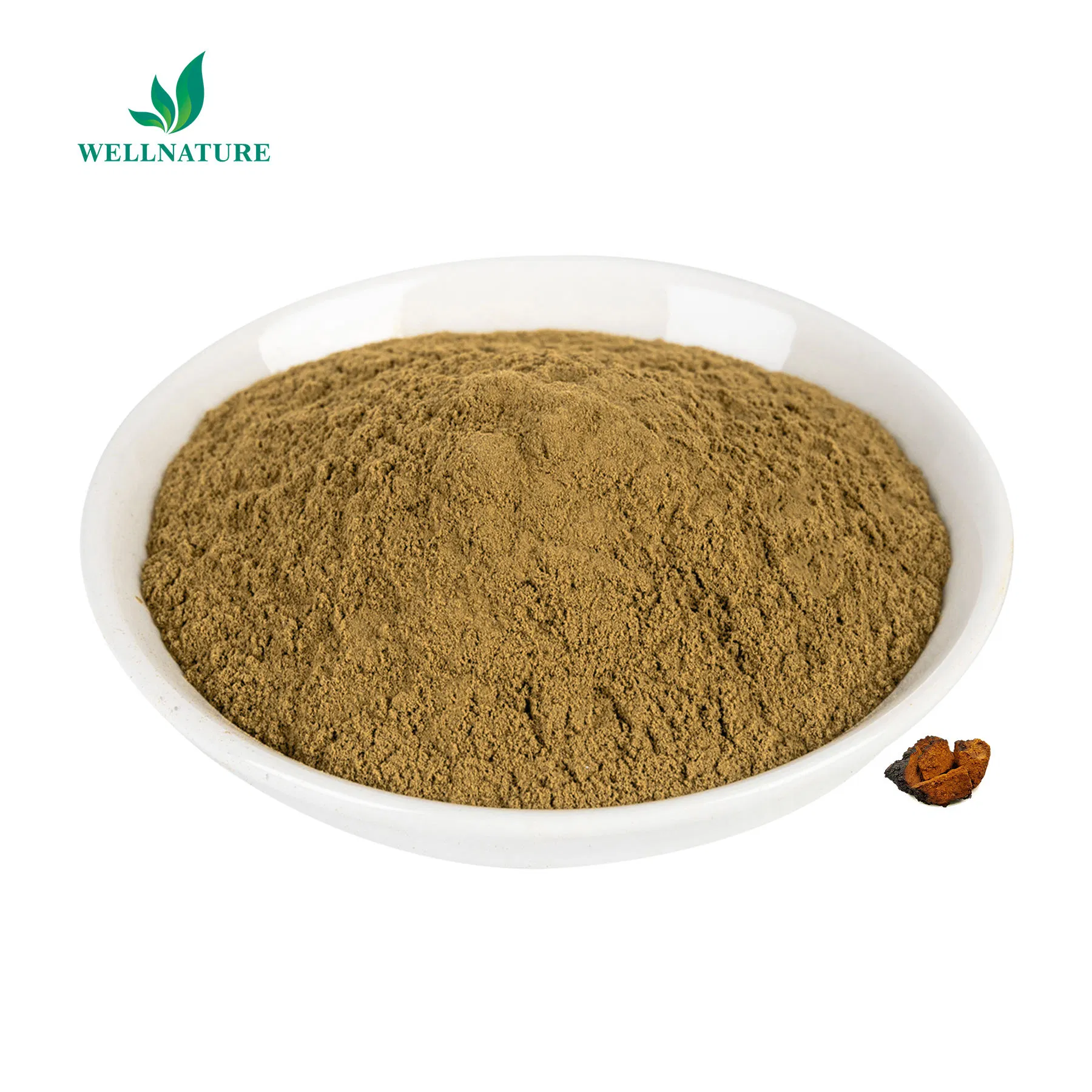 Organic Chaga Mushroom Extract Powder for Immune System Support and Natural Energy (Adaptogen)