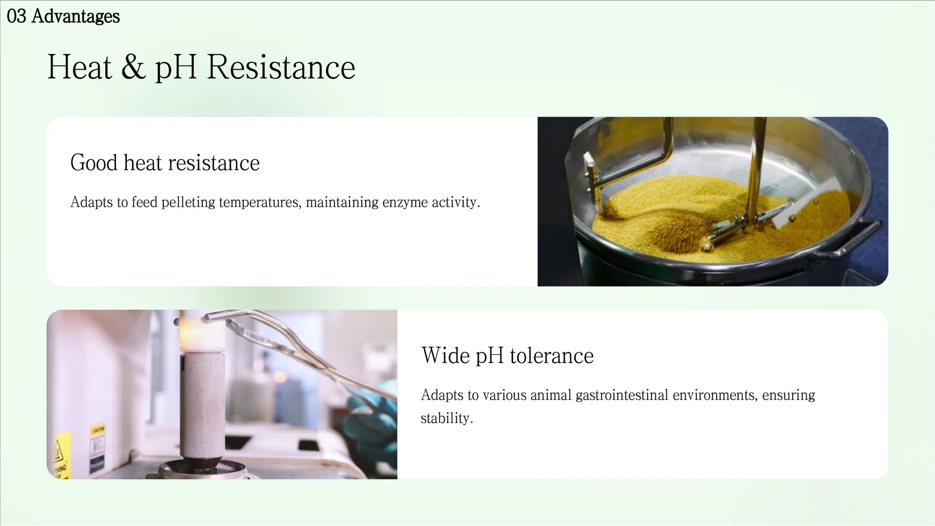 Pathogen Inhibition Enzyme