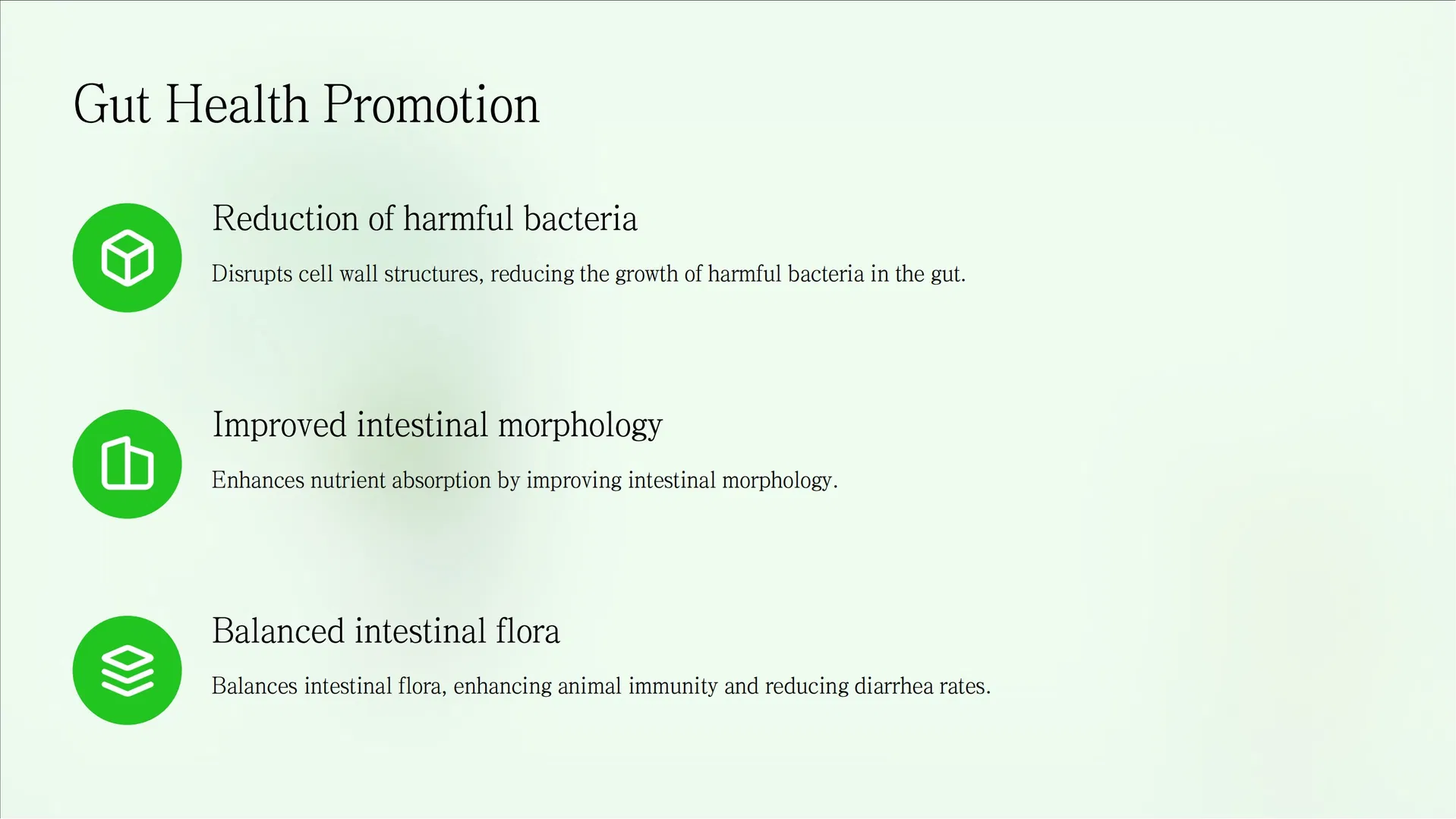 Gut Health Enzyme