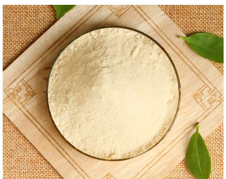 Natural Antioxidant Ingredient Camellia Sinensis Extract Powder Premium Tea Saponin for Functional Nutrition
