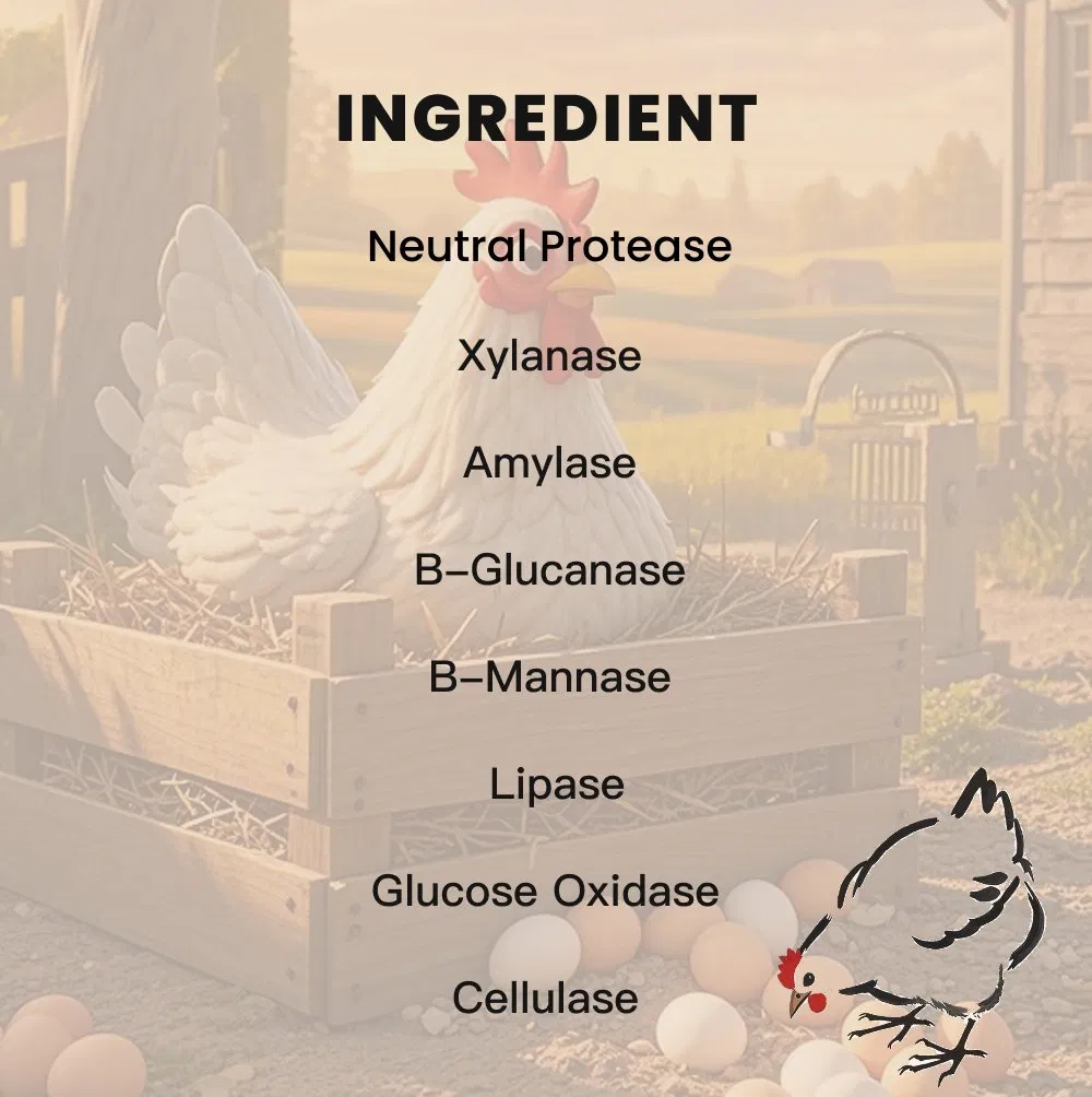 Price Broiler Love Poultry Feed Enzyme Additive - Gut Health Enhancer