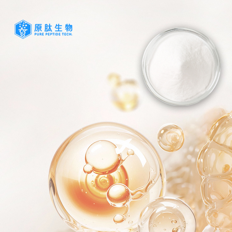 Premium Fish Collagen Food Supplement for Enhanced Skin and Joint Health