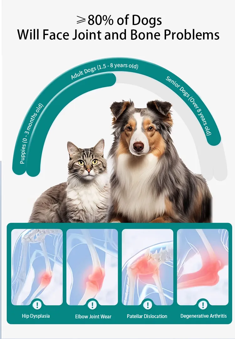 Pet Nutrition Joint Health Support Supplement for Cats and Dogs