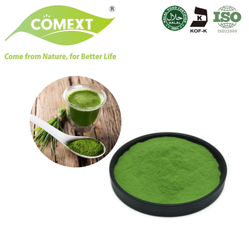 Comext Immune Plant Based Barley Grass Powder Organic Green Superfood Powder