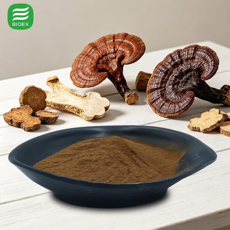 Water Soluble Reishi Extract for Functional Beverage and Coffee