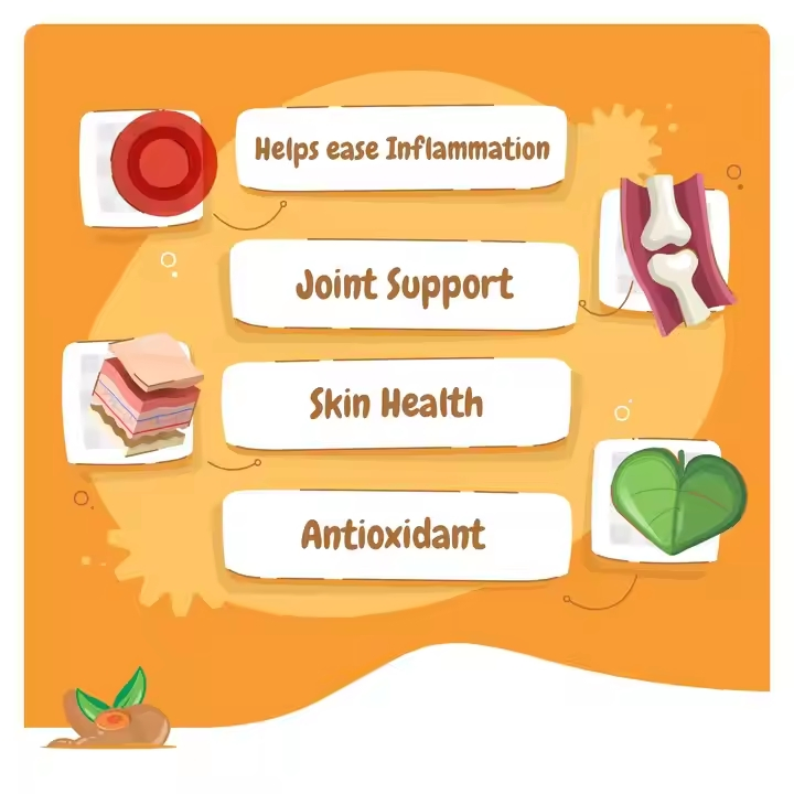 OEM Pet Health Care Product Hip and Joint Supplement Soft Chews