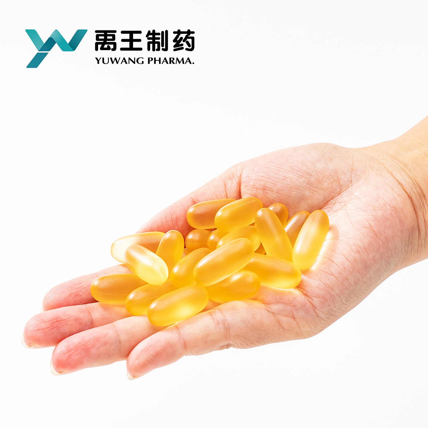 High Quality 1000mg Omega 369 HACCP/QS/ISO Certified Fish Oil Softgel