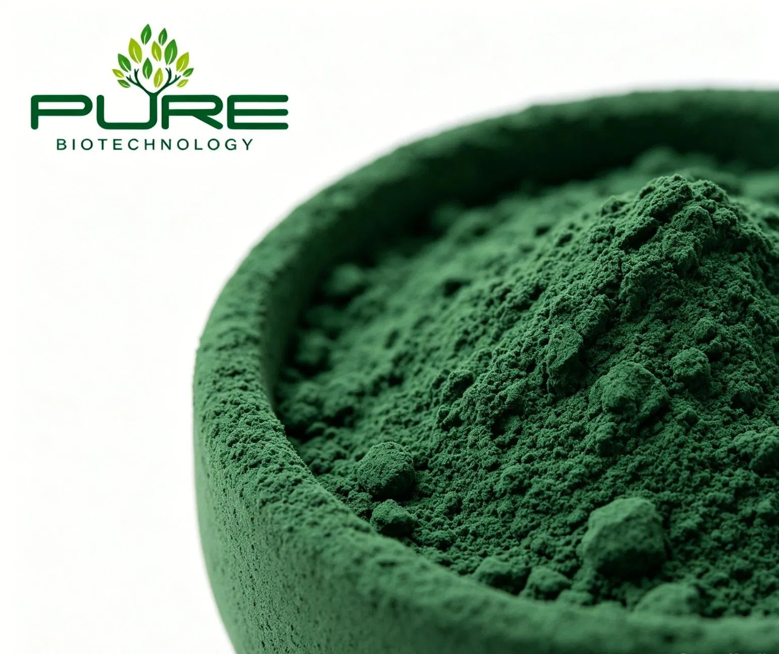 Hot Sale Certified Organic Blue-Green Algae Superfood Spirulina Platensis Powder