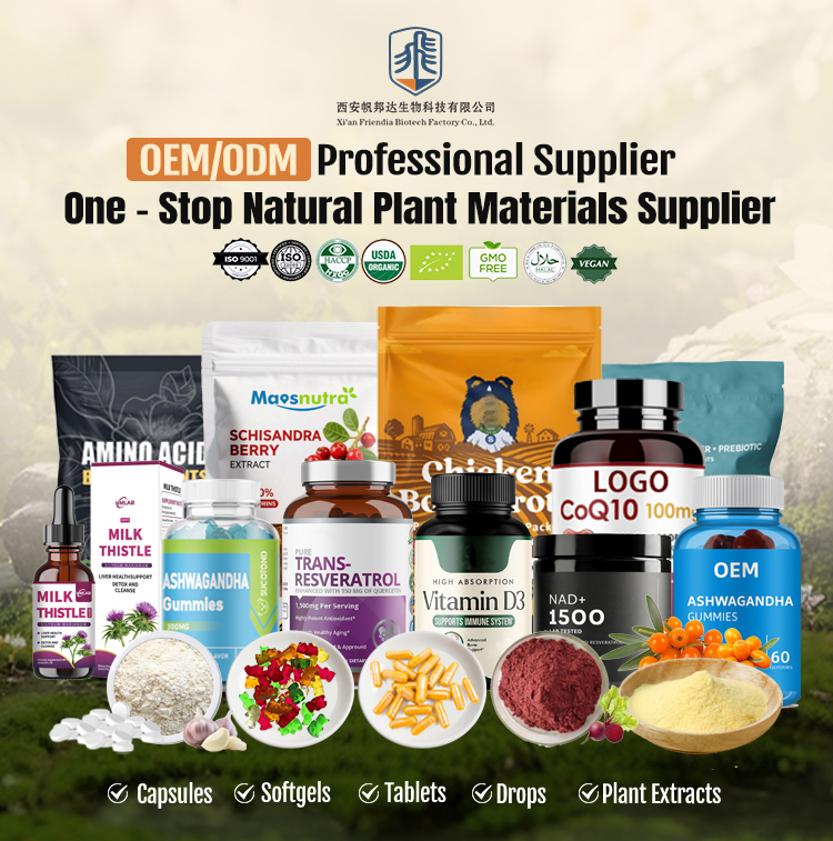 High Potency Multivitamin Gummies All Round Energy Muscle Immune Support Custom Formula OEM ODM Bulk Wholesale