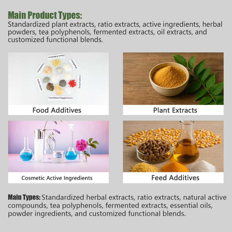 OEM Factory Prebiotic Fiber Probiotic Digestive Gummies 1 Billion Cfu Gut Health Slim Support