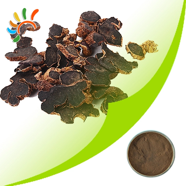 Natural Black Ginger Extract Powder Herbal Supplement NON GMO High Gingerols Antioxidant Rich for Health Benefits