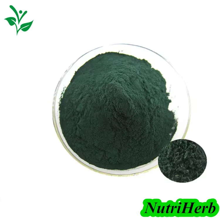 Hot Sell Food Grade Spirulina Powder Tablet 60% Protein Organic Spirulina Powder