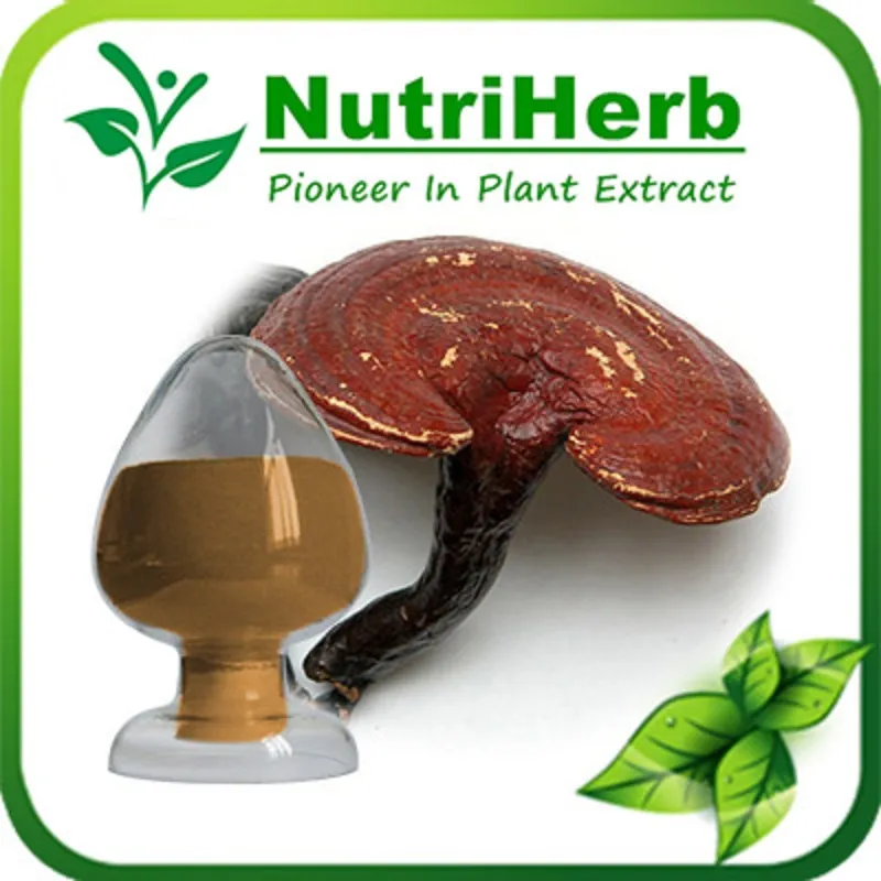 Organic Ganoderma Lucidum Extract De Lingzhi Reishi Mushroom Spore