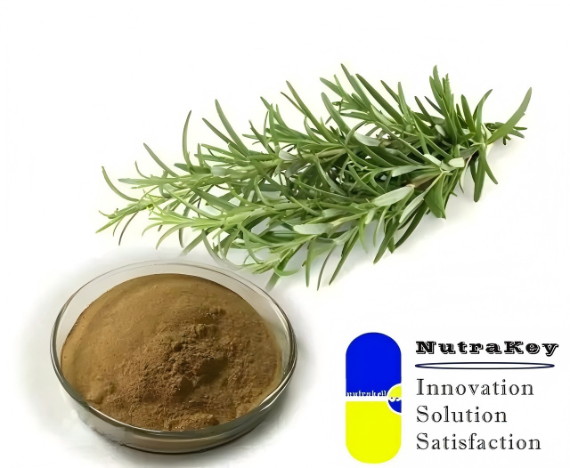Natural Rosemary Extract 25% Carnosic Acid Food Grade Antioxidant Herbal Powder Bulk Supply
