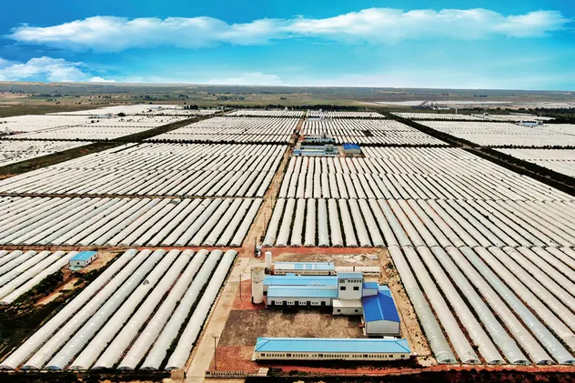 Production site detail 1