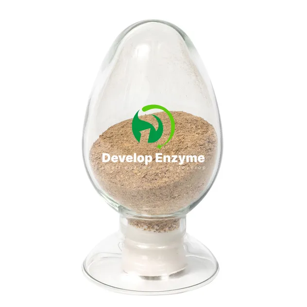 Enzyme production line