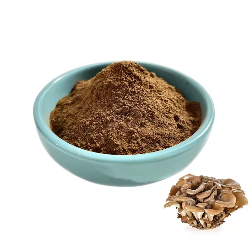 Maitake Mushroom (30% Polysaccharides) Extract/Grifola Frondosa Extract