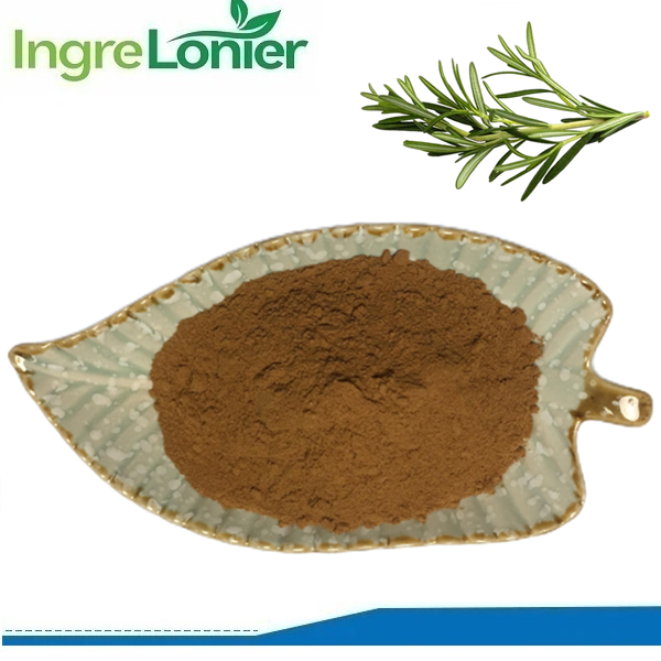 Natural Antioxidant Food Grade Herbal Extract 20% 30% 10:1 Rosmarinic Acid Rosemary Leaf Extract Powder in Bottle