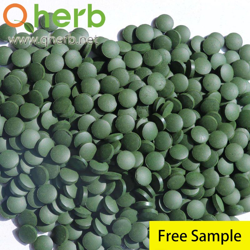 Highlight Green Color and Nutrient-Rich Superfood Protein Source Chlorella Powder