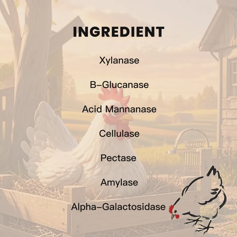 Feed Grade Wheat Enzyme Blend Enhance Growth and Gut Health in Poultry