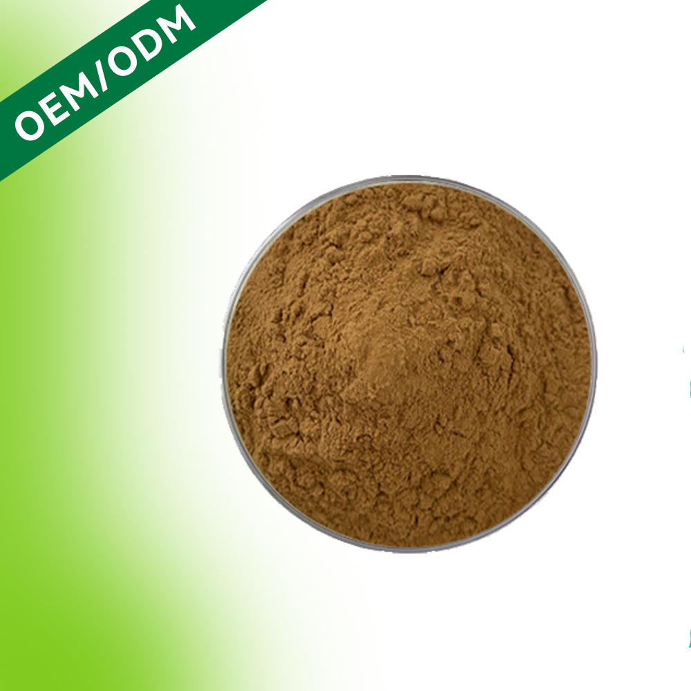 HDK Premium Cornus Officinalis Extract Powder Anti-Aging Antioxidant Immune Support Dietary Supplement Herbal Extract OEM Bulk