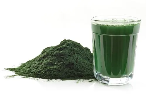 Natural 100% Pure Organic Spirulina Powder 60% Organic Spirulina Protein Powder