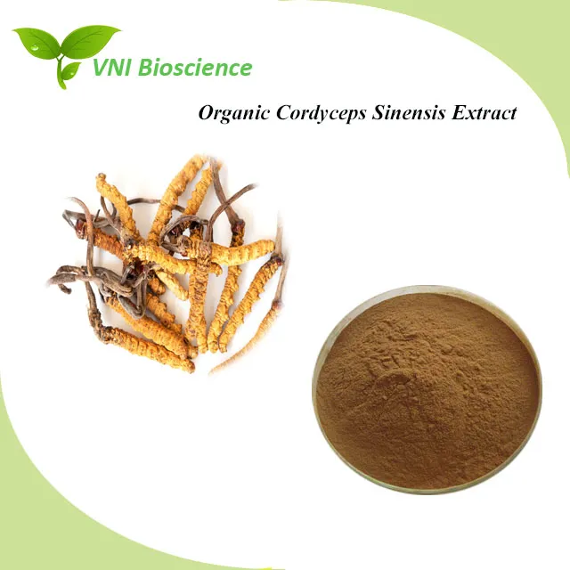 Kosher Halal Certified Organic Cordycep Acid Cordyceps Sinensis Extract