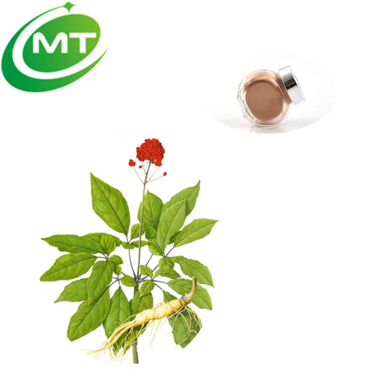 Factory Supply Pure Ginseng Extract Powder Food Grade 80% Ginsenosides Panax Ginseng Extract