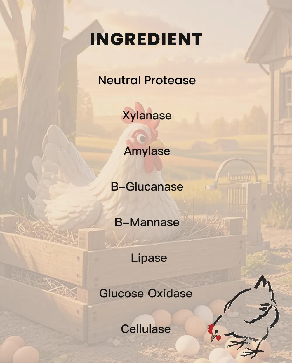 High-Efficiency Poultry Enzyme Additive for Broilers - Gut Health & Nutrition Support