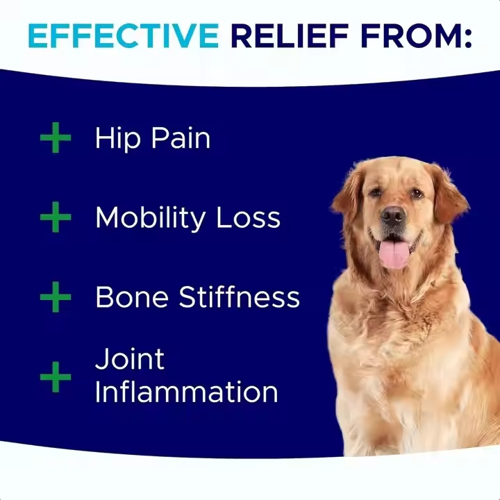 Soft Chews Pet Health Joint Care Nutritional Supplements Dog &amp; Cat Food