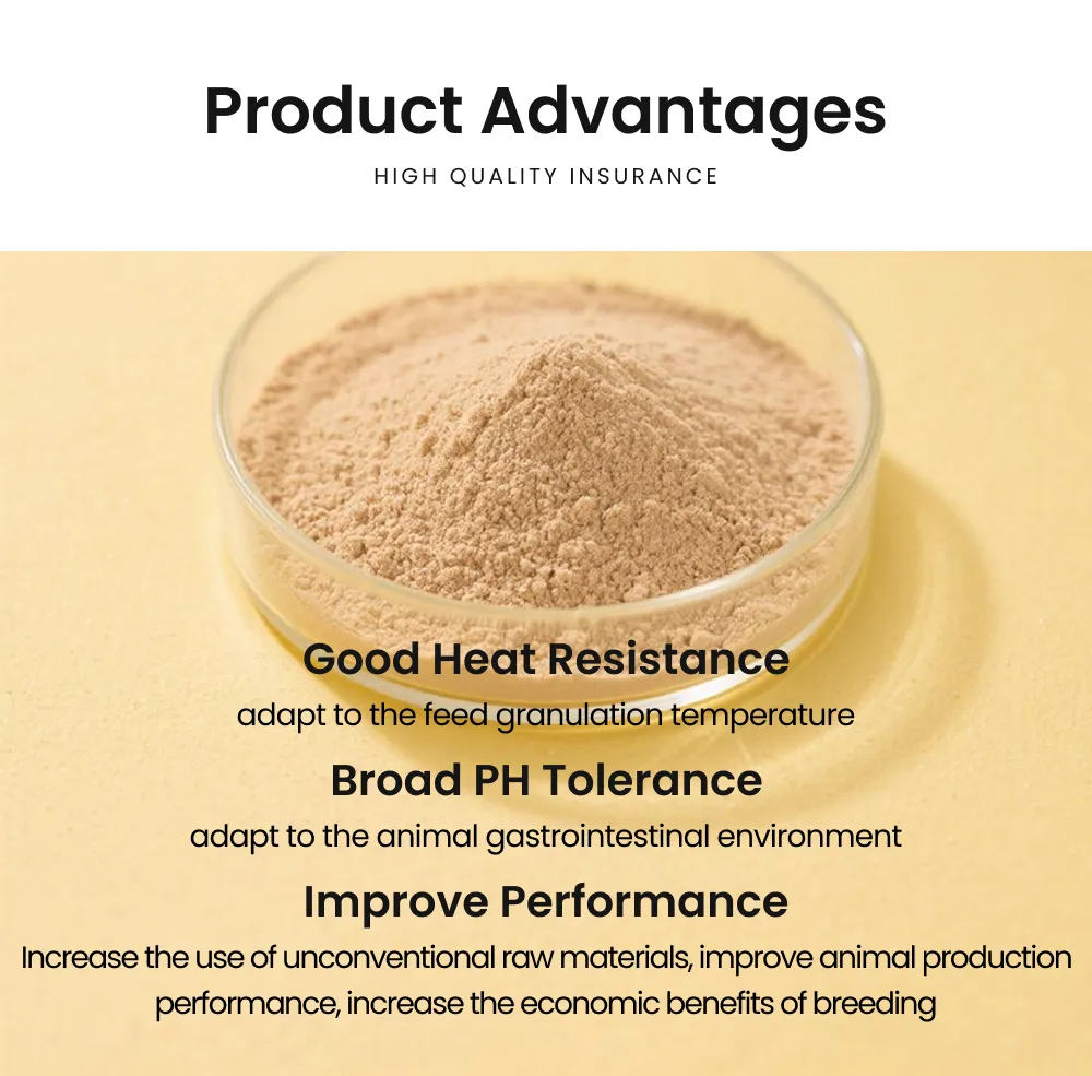 Feed Grade Wheat Enzyme Blend Enhance Growth and Gut Health in Poultry