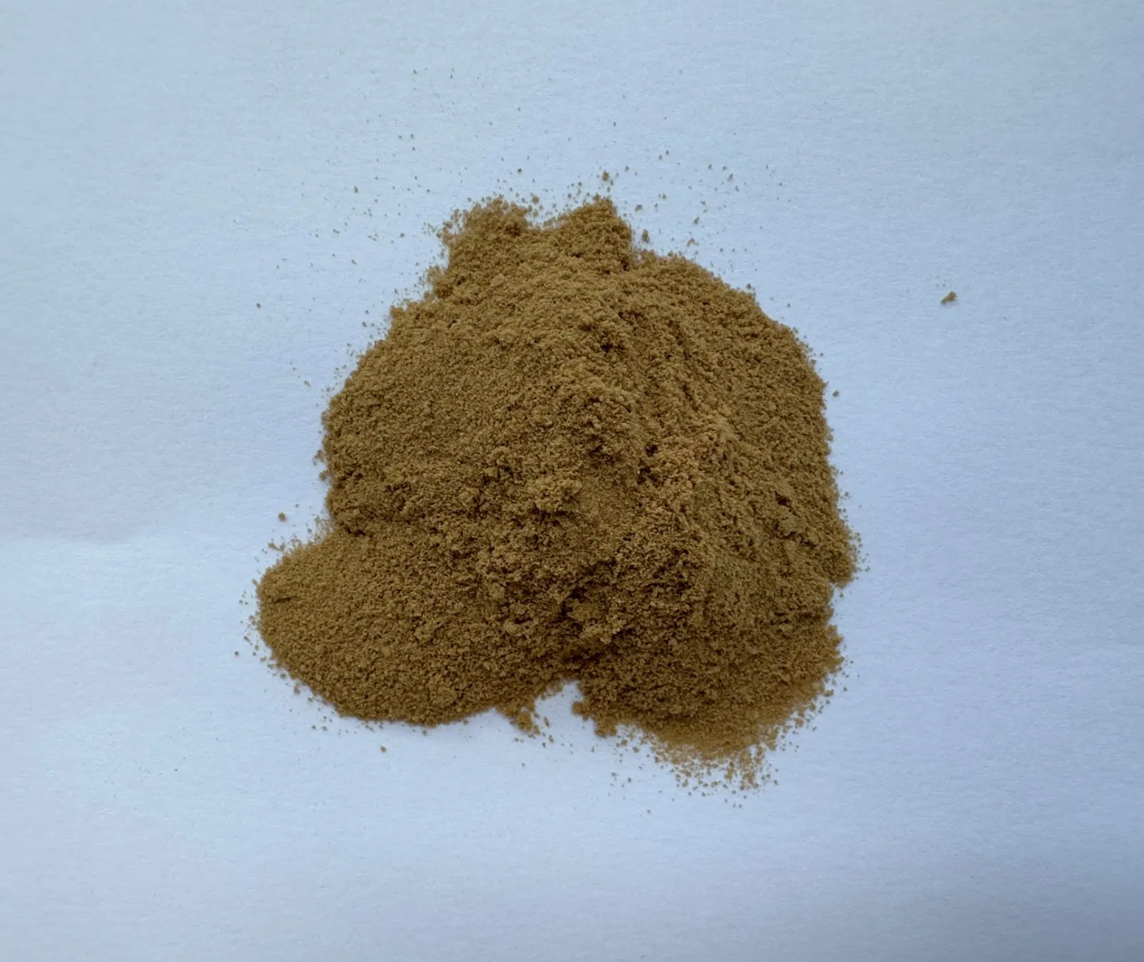 Gut Health Support: Digestive Enzymes with Ginger Extract