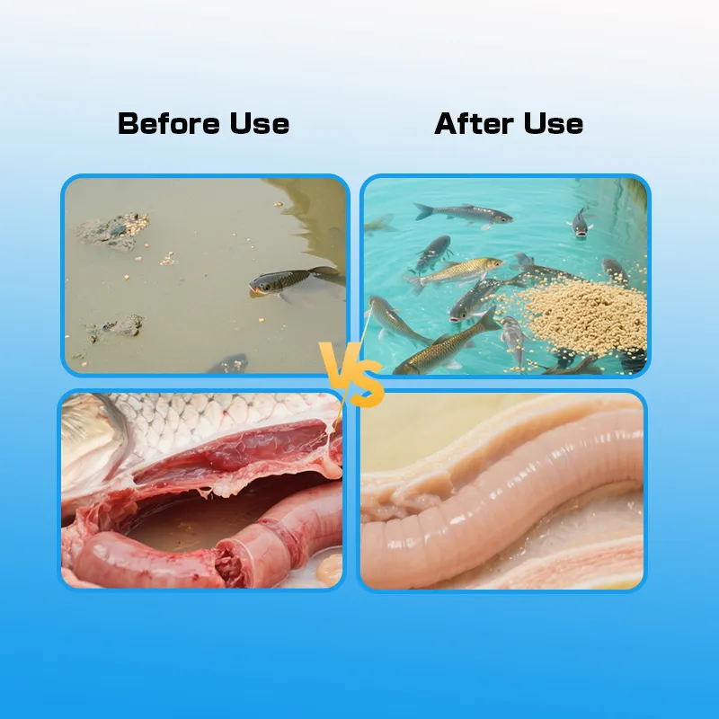 Gut Power Compound Enzyme for Gut Health & Growth Feed Additive