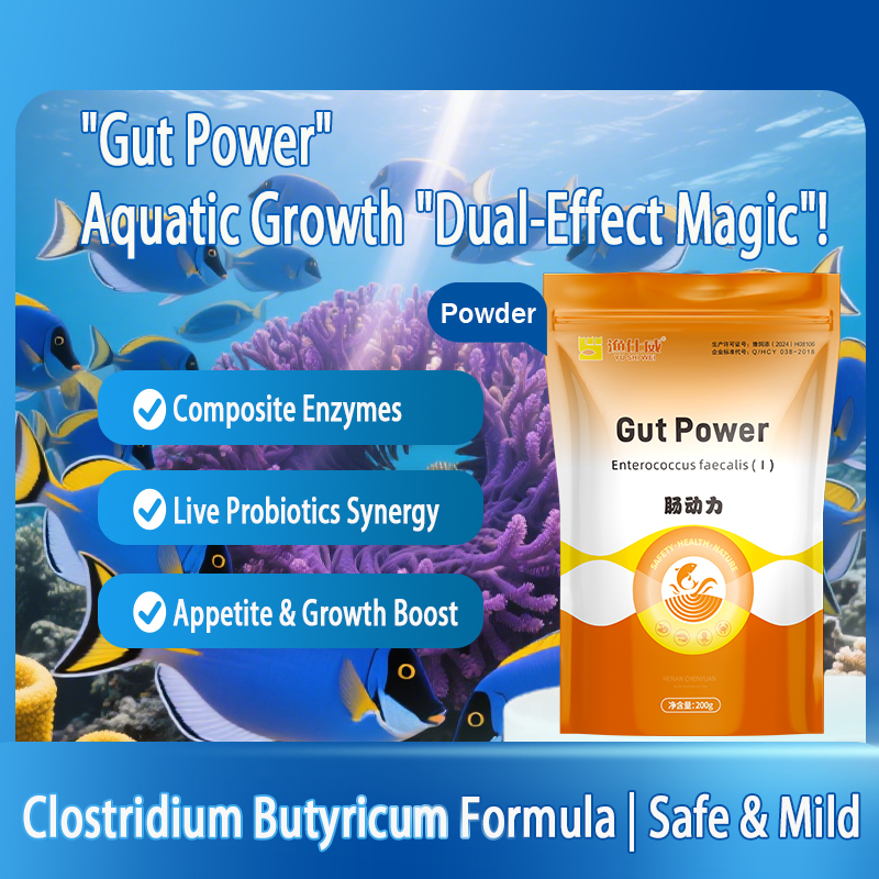 Gut Power Compound Enzyme for Gut Health &amp; Growth Feed Additive