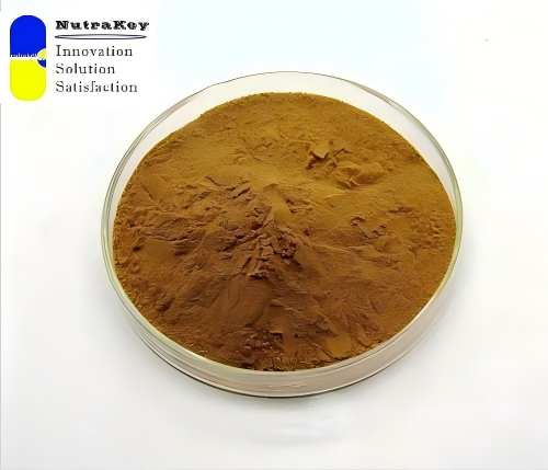 Natural Rosemary Extract 25% Carnosic Acid Food Grade Antioxidant Herbal Powder Bulk Supply