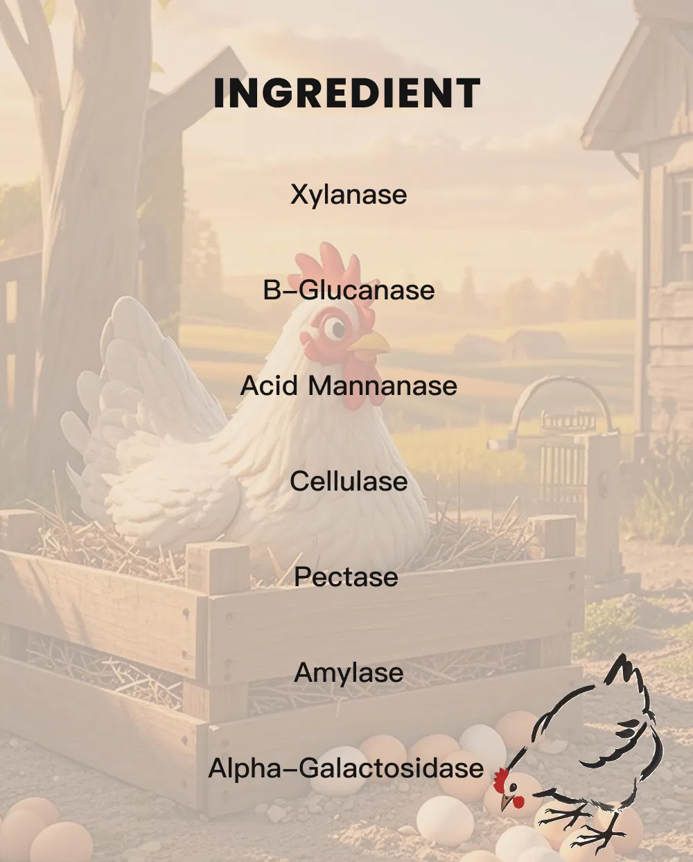Feed Grade Wheat Enzyme Blend Enhance Growth and Gut Health in Poultry